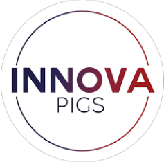 innovapigs logo